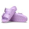 Arizona Big Buckle Eva